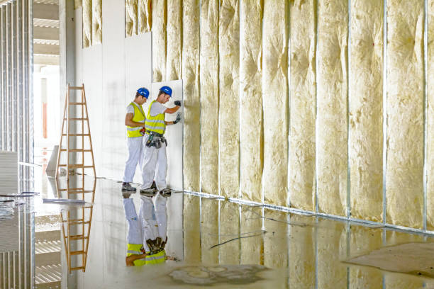Best Specialized Insulation Services in Harrison, OH